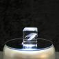 Preview: 3D-Glas-Cube-Beluga, versch. Größen