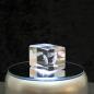 Preview: 3D-Glas-Cube-Beluga, versch. Größen