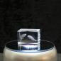 Preview: 3D-Glas-Cube-Beluga, versch. Größen