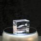 Preview: 3D-Glas-Cube-Beluga, versch. Größen