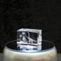 Preview: 3D-Glas-Cube-2 Brachiosaurus, versch. Größen
