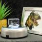Preview: 3D-Glas-Cube-2 Dinosaurier, versch. Größen
