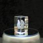 Preview: 3D-Glas-Cube-Eichhörnchen, versch. Größen