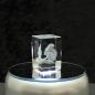 Preview: 3D-Glas-Cube-Eichhörnchen, versch. Größen