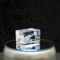 Preview: 3D-Glas-Cube-Elephant unter Baum, versch. Größen