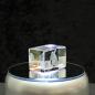 Preview: 3D-Glas-Cube-Fennek, versch. Größen