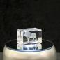 Preview: 3D-Glas-Cube-laufender Löwe, versch. Größen
