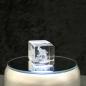 Preview: 3D-Glas-Cube-Luchs, versch. Größen