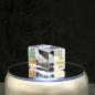 Preview: Crystal cuboid block, motif Gull