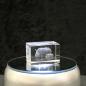 Preview: 3D-Glas-Cube-Nashorn, versch. Größen