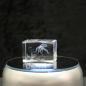 Preview: 3D-Glas-Cube-Oktopuss, versch. Größen