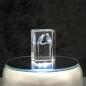 Preview: 3D-Glas-Cube-Papagei, versch. Größen
