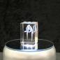 Preview: 3D-Glas-Cube-Papagei, versch. Größen