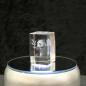 Preview: 3D-Glas-Cube-Panda, versch. Größen