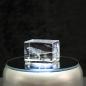 Preview: 3D-Glas-Cube-T-Rex, versch. Größen