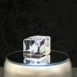 Preview: Crystal cuboid block, motif Seal