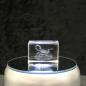 Preview: 3D-Glas-Cube-Scorpion, versch. Größen