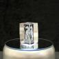Preview: 3D-Glas-Cube-Seepferdchen, versch. Größen