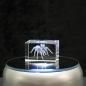 Preview: 3D-Glas-Cube-Vogelspinne, versch. Größen