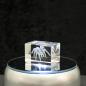 Preview: 3D-Glas-Cube-Vogelspinne, versch. Größen