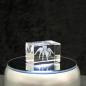 Preview: 3D-Glas-Cube-Vogelspinne, versch. Größen