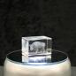 Preview: 3D-Glas-Cube-Wisent, versch. Größen