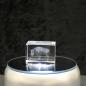 Preview: 3D-Glas-Cube-Wisent, versch. Größen