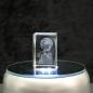Preview: Crystal cuboid block, motif Howling Wolf