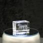 Preview: 3D-Glas-Cube-Zebra mit Fohlen, versch. Größen