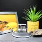 Preview: 3D-Glas-Cube-Zebra mit Fohlen, versch. Größen