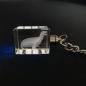 Mobile Preview: LED Glasschlüsselanhänger, Motiv Robbenmaskotchen
