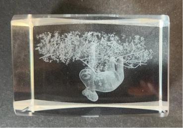 3D-Glas-Cube-Faultier, versch. Größen