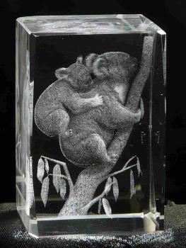 3D-Glas-Cube-Koala-Bär, versch. Größen