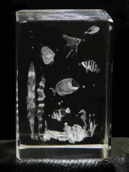 3D-Glas-Cube-Unterwasserwelt, versch. Größen