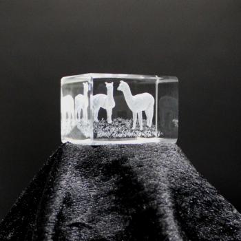 3D-Glas-Cube-2 Alpakas, versch. Größen