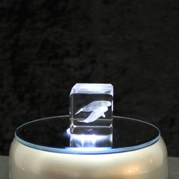 3D-Glas-Cube-Beluga, versch. Größen