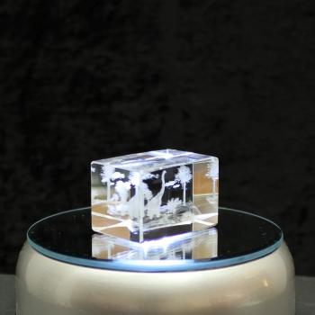 Kristall-Quaderblock Motiv mehrere Saurier