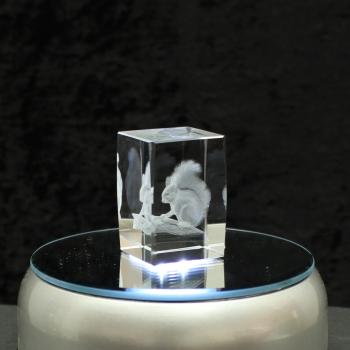 3D-Glas-Cube-Eichhörnchen, versch. Größen