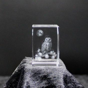 Barn Owl