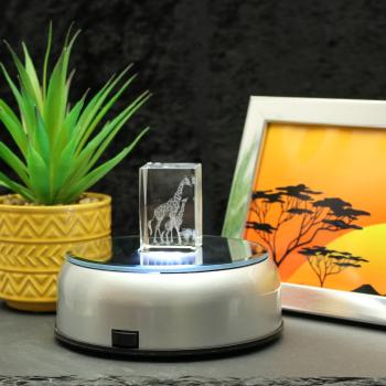 3D-Glas-Cube-2 Giraffen, versch. Größen