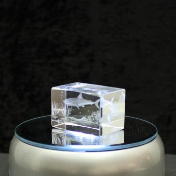 Crystal cuboid block, motif Shark