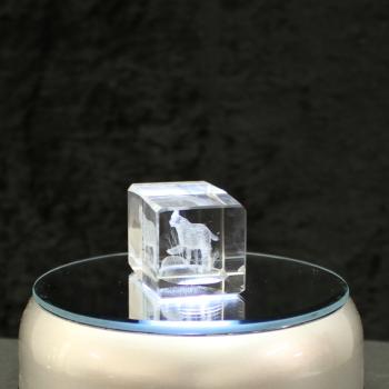 3D-Glas-Cube-Luchs, versch. Größen