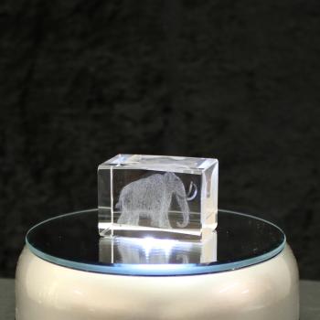 3D-Glas-Cube-Mammut, versch. Größen