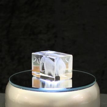 3D-Glas-Cube-Mammut, versch. Größen