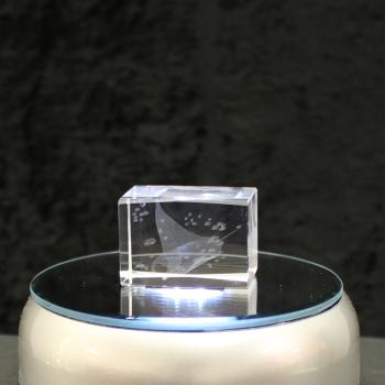 3D-Glas-Cube-Manta Rochen, versch. Größen