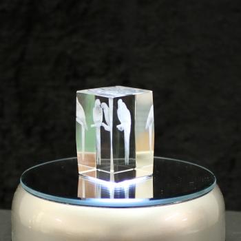 3D-Glas-Cube-Papagei, versch. Größen