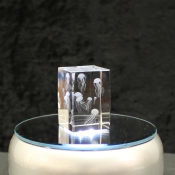 3D-Glas-Cube-Qualle, versch. Größen