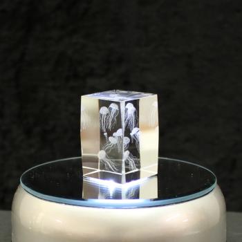 3D-Glas-Cube-Qualle, versch. Größen
