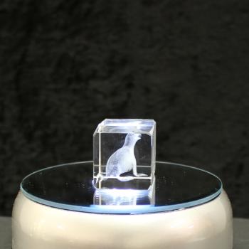 3D-Glas-Cube-Seehund, versch. Größen