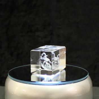 3D-Glas-Cube-Scorpion, versch. Größen